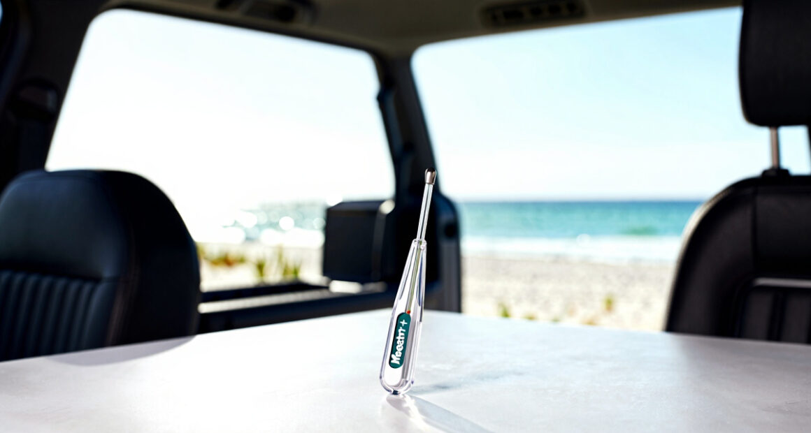 15 Best Meat Thermometer for Grilling (Meater+) in 2026