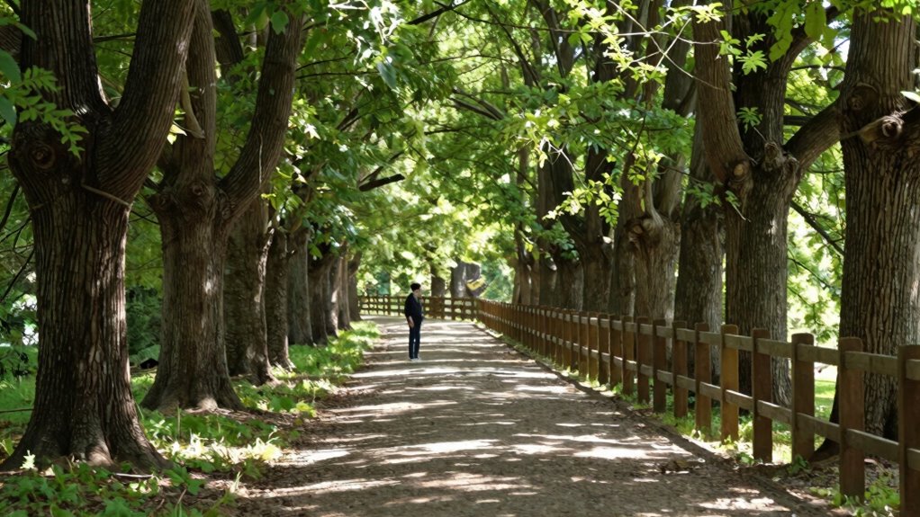 healthy boundaries promote lasting trust